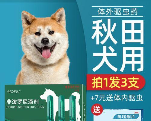 秋田犬身上有跳蚤怎么办？（以宠物为主，保护健康安全）