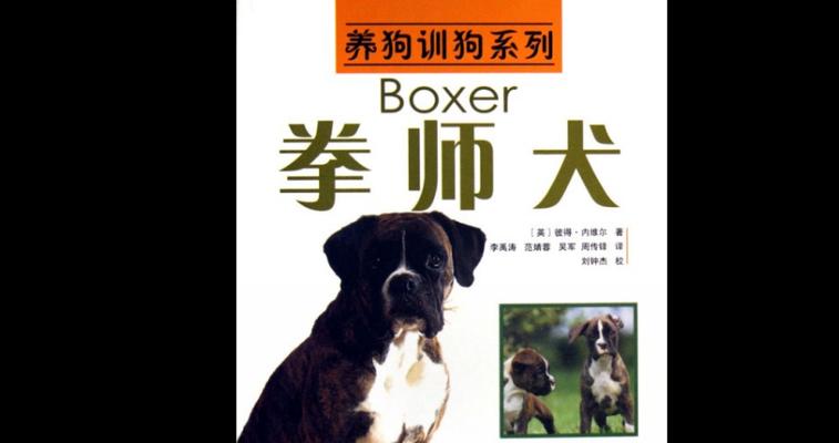 以拳师犬喂养什么狗粮最好？（探究拳师犬适合的最佳狗粮及如何选择）