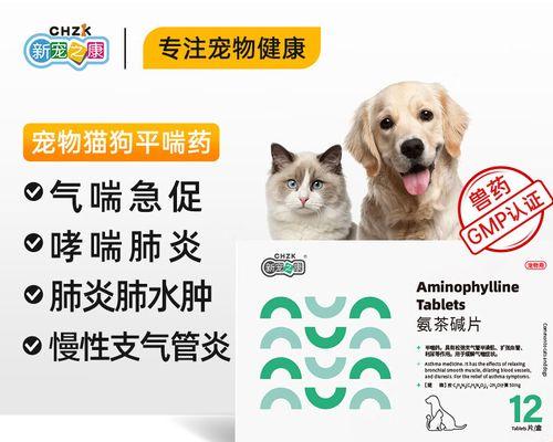 犬窝咳治疗指南（如何帮助患上犬窝咳的宠物恢复健康）