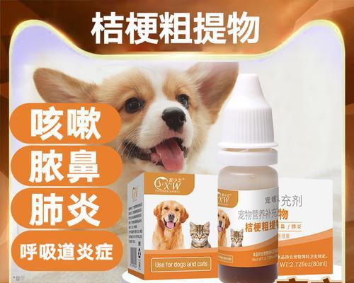 犬窝咳治疗指南（如何帮助患上犬窝咳的宠物恢复健康）