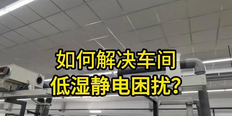 宠物家族里的“静电”克星（如何避免宠物静电带来的困扰）