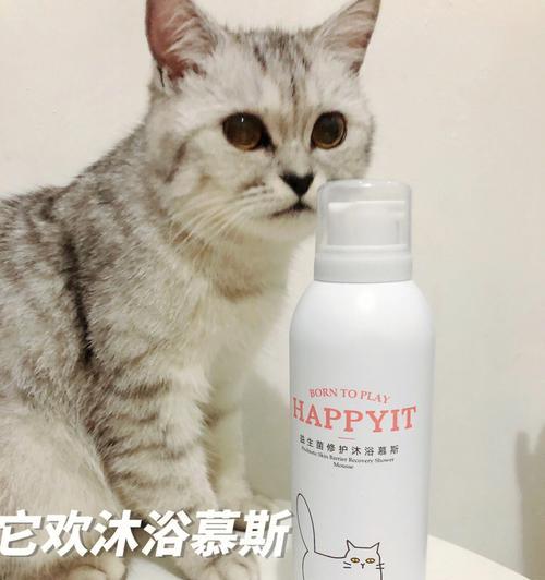 怕水的猫咪如何洗澡？（宠物主人必知的洗澡技巧）