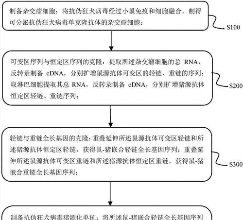 如何区分狂犬病和伪狂犬？（掌握症状，保护你的宠物）