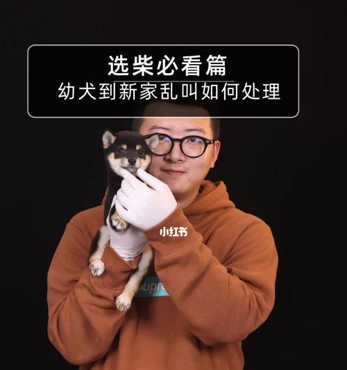 如何让幼犬不乱叫（建立正确的行为习惯）