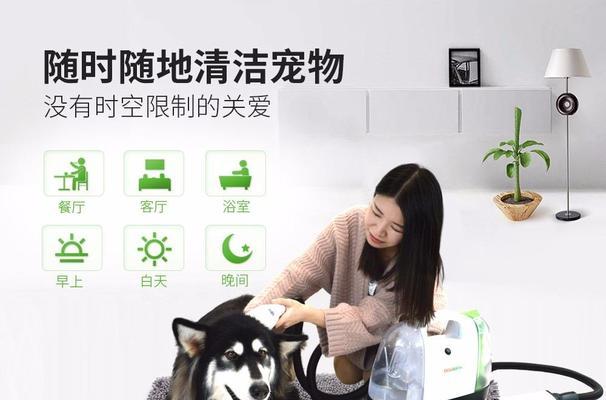 如何训练金毛犬不咬家具（宠物养护，让金毛犬从“破坏王”变身“好孩子”）