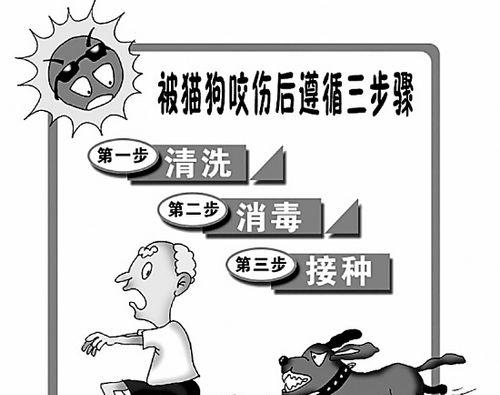 圣伯纳犬疫苗知识与误区（了解宠物疫苗，保护你的圣伯纳犬健康）