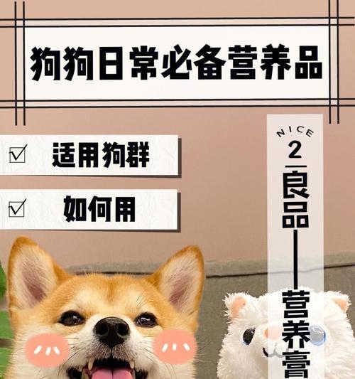 养犬必备的营养品（让你的爱犬健康成长）