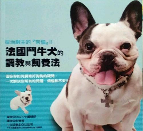 如何正确饲养法国斗牛犬（打造健康快乐的宠物生活）