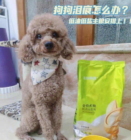 松狮犬泪痕问题解决方法（如何减少松狮犬的泪痕问题）