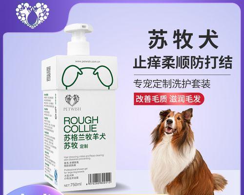 苏格兰牧羊犬有螨虫怎么办？（从宠物爱护、病因、症状到治疗全解析）