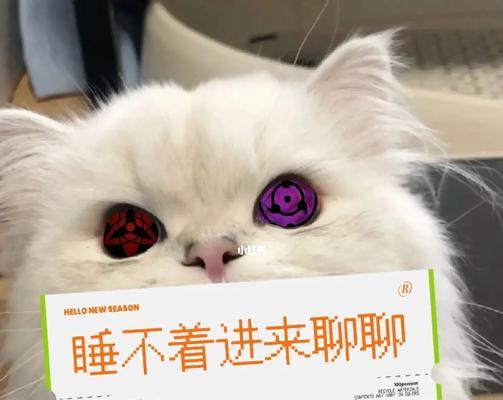 猫咪为什么晚上不睡觉？（宠物主人必看！科学解析猫咪夜猫子行为的原因与解决方法）