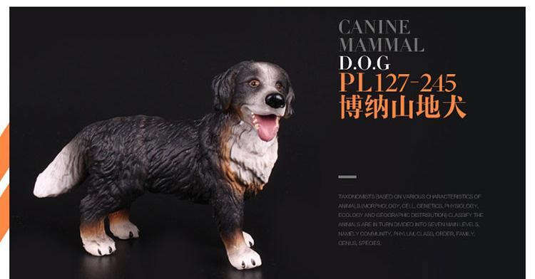 圣伯纳犬最喜欢的玩具有哪些？（让你的宠物快乐无比，）