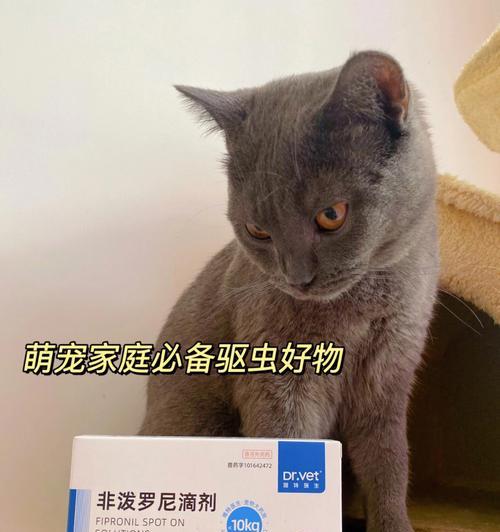 小猫咪驱虫指南（从宠物健康出发，保护我们的家园）