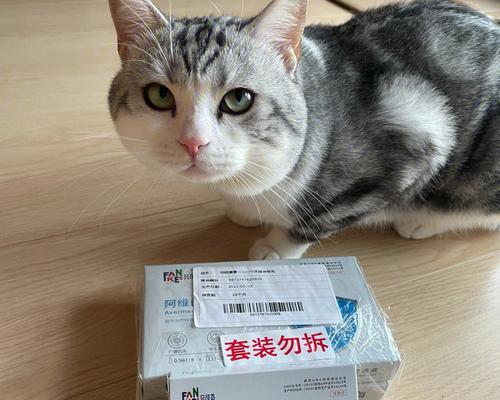 小猫咪驱虫指南（从宠物健康出发，保护我们的家园）