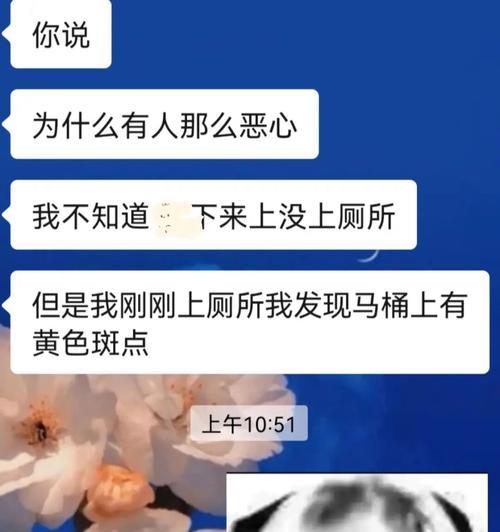 如何训练宠物在指定地点大小便？（从零开始，让你的宠物在固定地点大小便！）