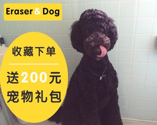 巨型贵宾犬美容全攻略（宠物也需要精心打理，巨型贵宾犬的美容管理从入门到精通）