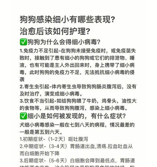 如何分辨宠物狗狗是否患有肠胃疾病和细小病毒感染（宠物狗狗肠胃和细小病毒疾病的临床表现、治疗和预防）