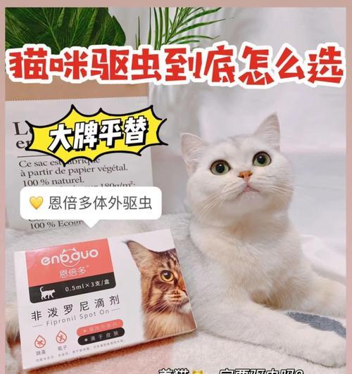 宠物猫咪驱虫必知的注意事项（如何做到安全、有效的驱虫？）