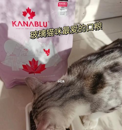 软便的猫咪可能是受到哪些影响？（探究猫咪软便的原因和预防方法）