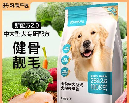 萨摩耶幼犬的饮食安排（每天几顿狗粮合适？如何避免肠胃不适？）