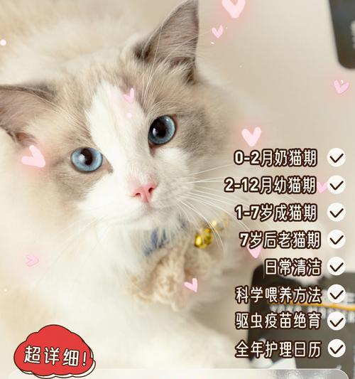 小猫咪打疫苗的时间（从哪些方面来考虑？）