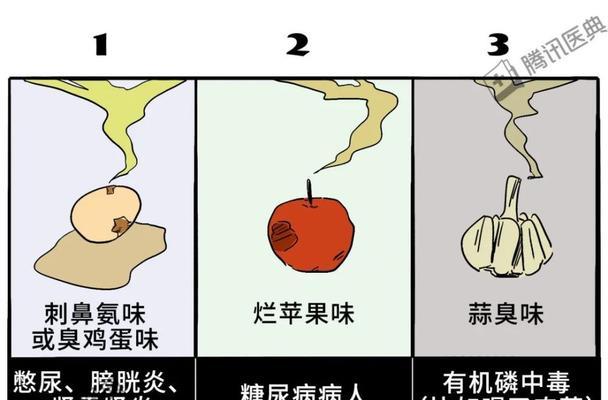 宠物查理王尿液黄的原因分析（探究宠物饮食、生理和疾病等多方面因素对查理王尿液黄的影响）