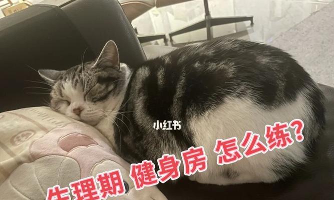 饲养宠物狗狗比去健身房更有效（以狗狗为健身伙伴，享受健康与快乐）