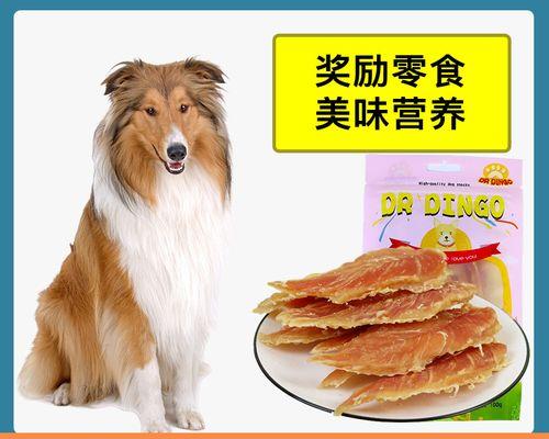 解决苏格兰牧羊犬磨牙难题（如何让你的宠物拥有健康的牙齿）