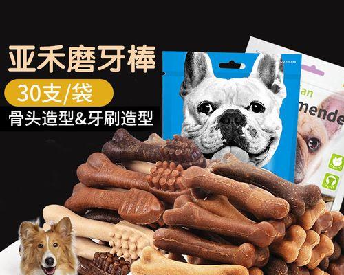 解决苏格兰牧羊犬磨牙难题（如何让你的宠物拥有健康的牙齿）