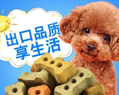 泰迪幼犬缺钙怎么办（宠物爱好者必知的营养知识与实用建议）