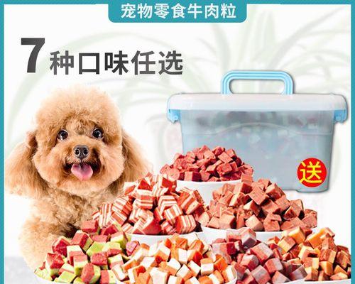 泰迪幼犬缺钙怎么办（宠物爱好者必知的营养知识与实用建议）