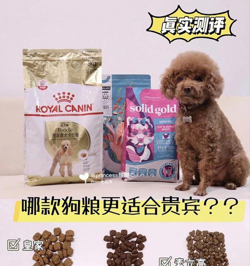 为什么需要定期更换贵宾犬的狗粮？（了解狗粮的保质期和成分对贵宾犬健康的影响）