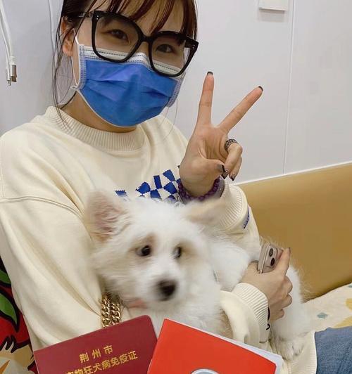 家犬育苗突然不行的原因及应对方法（宠物养护必知，育苗并非万无一失，如何应对不良反应？）