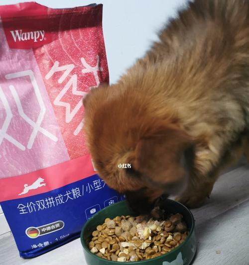 小狗误食物品卡住了怎么办？（狗狗误食常见物品后的症状和处理方法）