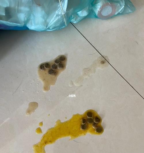 小猫为何频繁呕吐？（解析宠物呕吐的原因及预防措施）