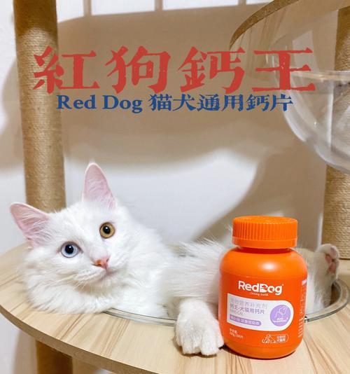 小猫补钙食品推荐（以宠物为主，给小猫选择最适合的补钙食品）