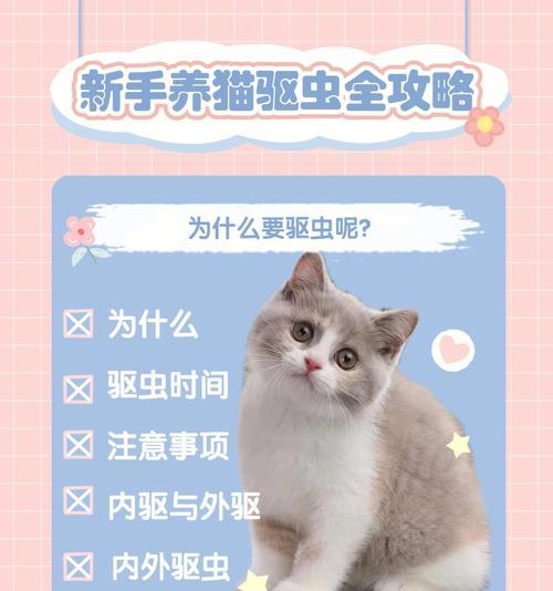 如何给宠物小猫进行针打和驱虫（让你的小猫健康成长，）