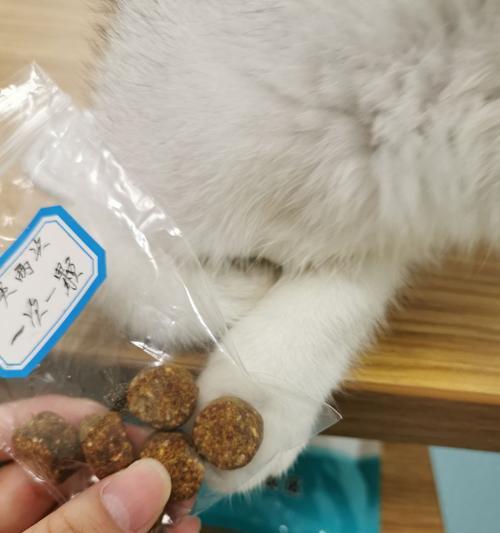 猫咪发烧怎么办？（治疗猫咪发烧的方法及药品推荐）