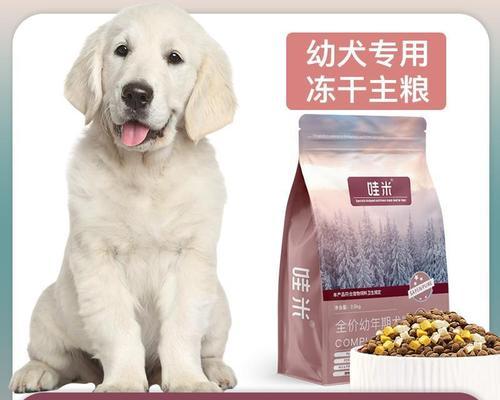 如何为拉布拉多幼犬定制营养餐？（以狗粮6为主，科学喂养你的宠物）