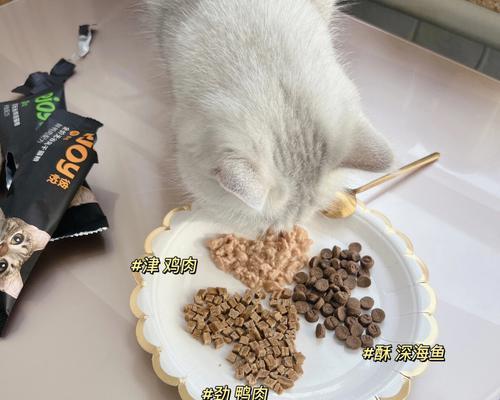 猫咪怀孕了，吃什么？（宠物怀孕期如何保健）