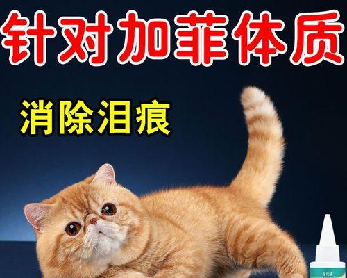 宠物猫眼睛鼻子肿了怎么办？（治疗方法及药品推荐，保护宠物健康。）