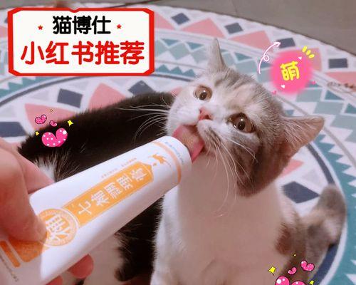 如何通过饮食提高猫咪免疫力？（宠物主人必知的15个秘诀）