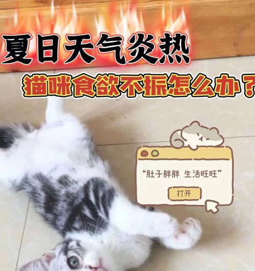 猫咪不爱吃东西的原因（探究宠物猫咪的饮食习惯以及影响因素）