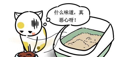 猫咪不爱吃东西的原因（探究宠物猫咪的饮食习惯以及影响因素）