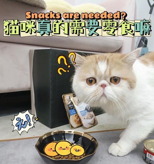 猫咪不能吃有盐的东西的原因（宠物饮食中盐分的重要性与影响）