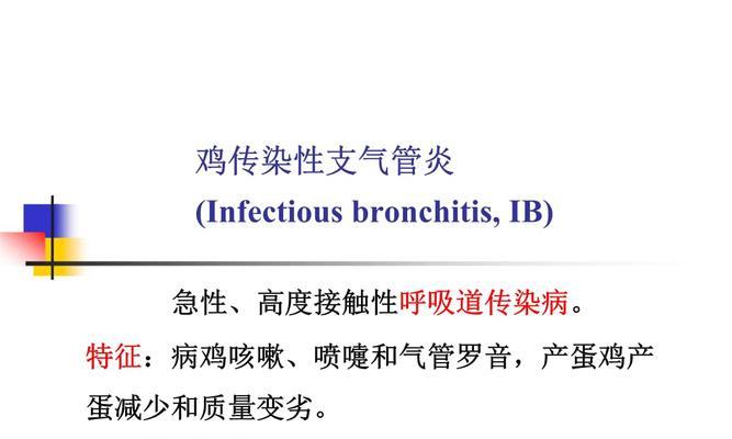 如何治疗宠物犬传染性支气管炎？（针对不同症状的药物治疗方案）