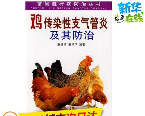 如何治疗宠物犬传染性支气管炎？（针对不同症状的药物治疗方案）