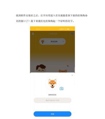 狗狗语音翻译器——让宠物与主人无隔阂（探究狗狗语音翻译器的应用和优劣）