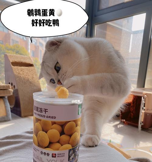 以鸡蛋磕猫咪？——探讨鸡蛋黄对宠物健康的影响（鸡蛋黄猫咪可以吃吗？）