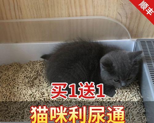 揭秘宠物猫尿油现象（为何有些猫尿会变成油状？专家解答你的疑惑）